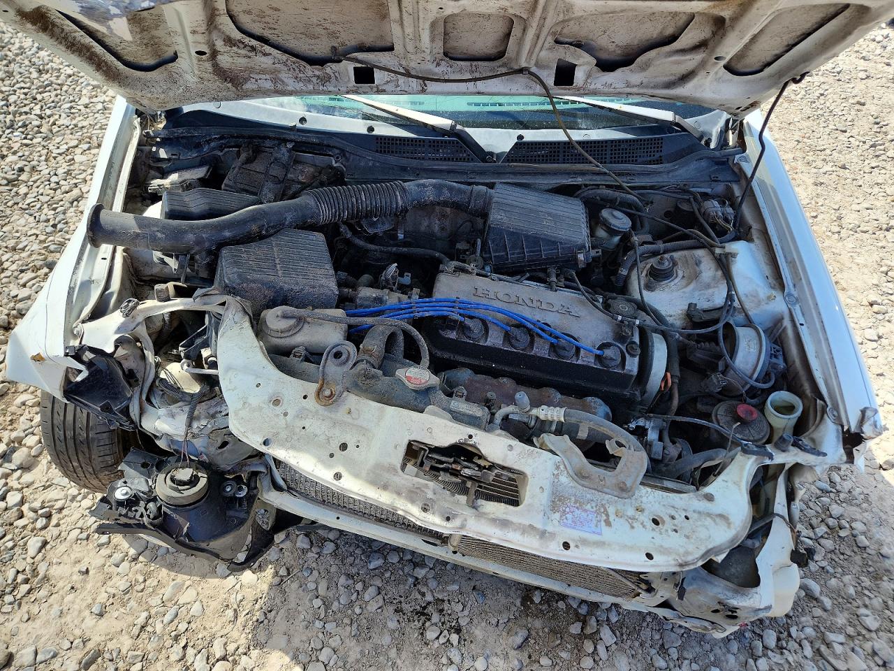 1998 Honda Civic Lx White vin: 2HGEJ6671WH545396