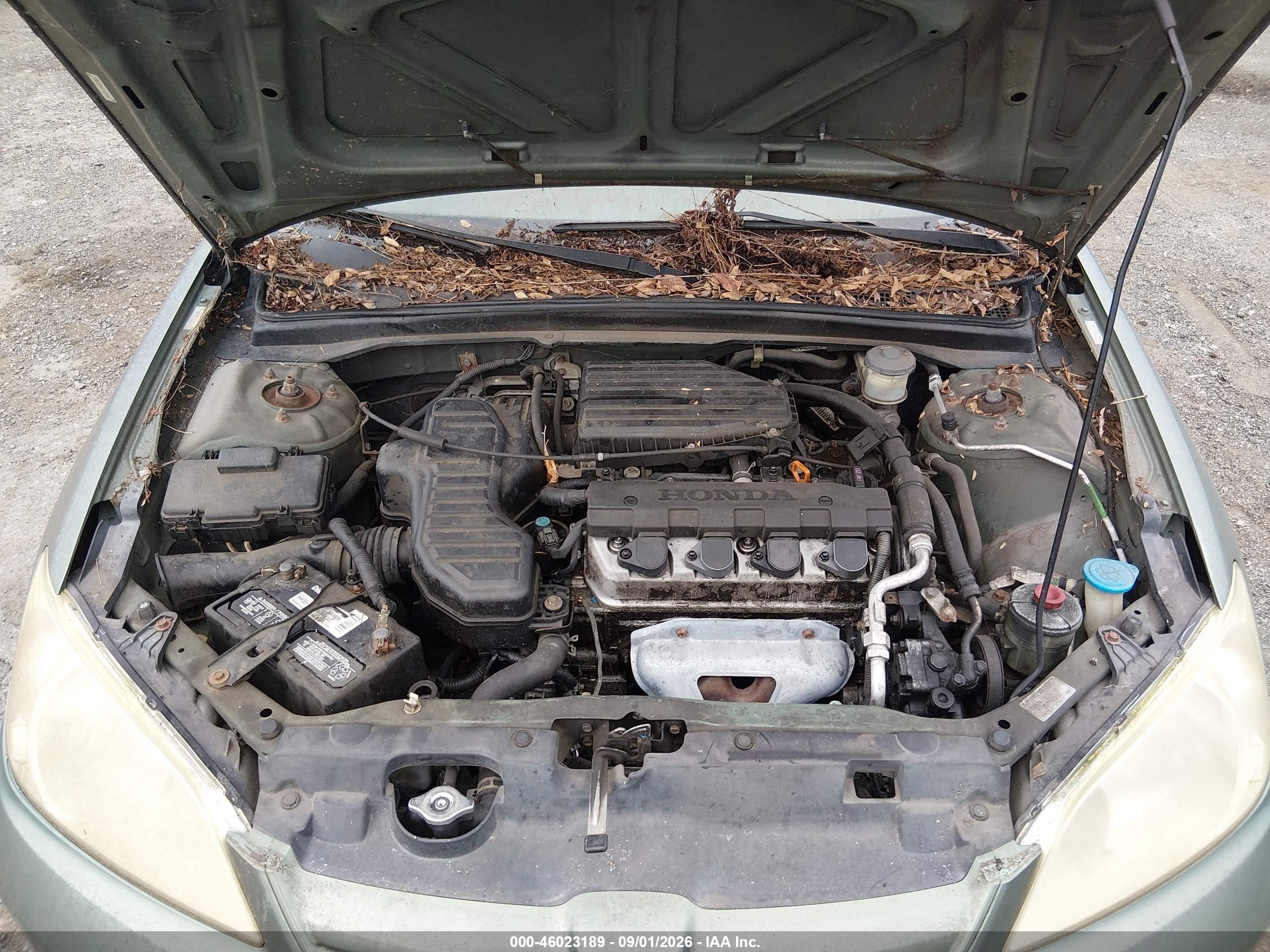 2004 Honda Civic Vp Green vin: 2HGES16374H605353