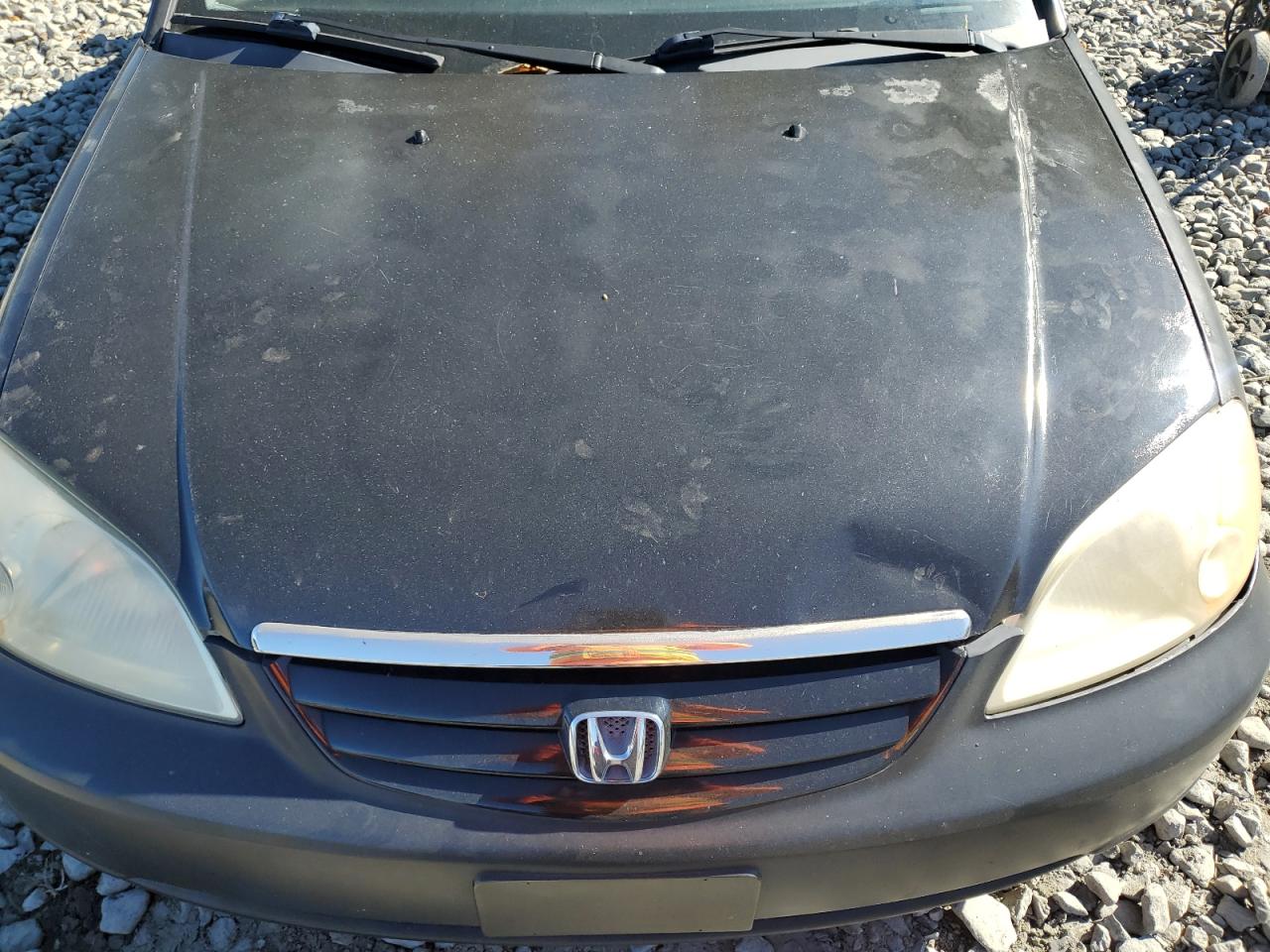 2003 Honda Civic Lx Black vin: 2HGES16553H527445