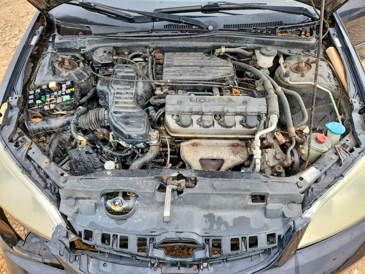 2004 Honda Civic Lx Black vin: 2HGES16554H504071