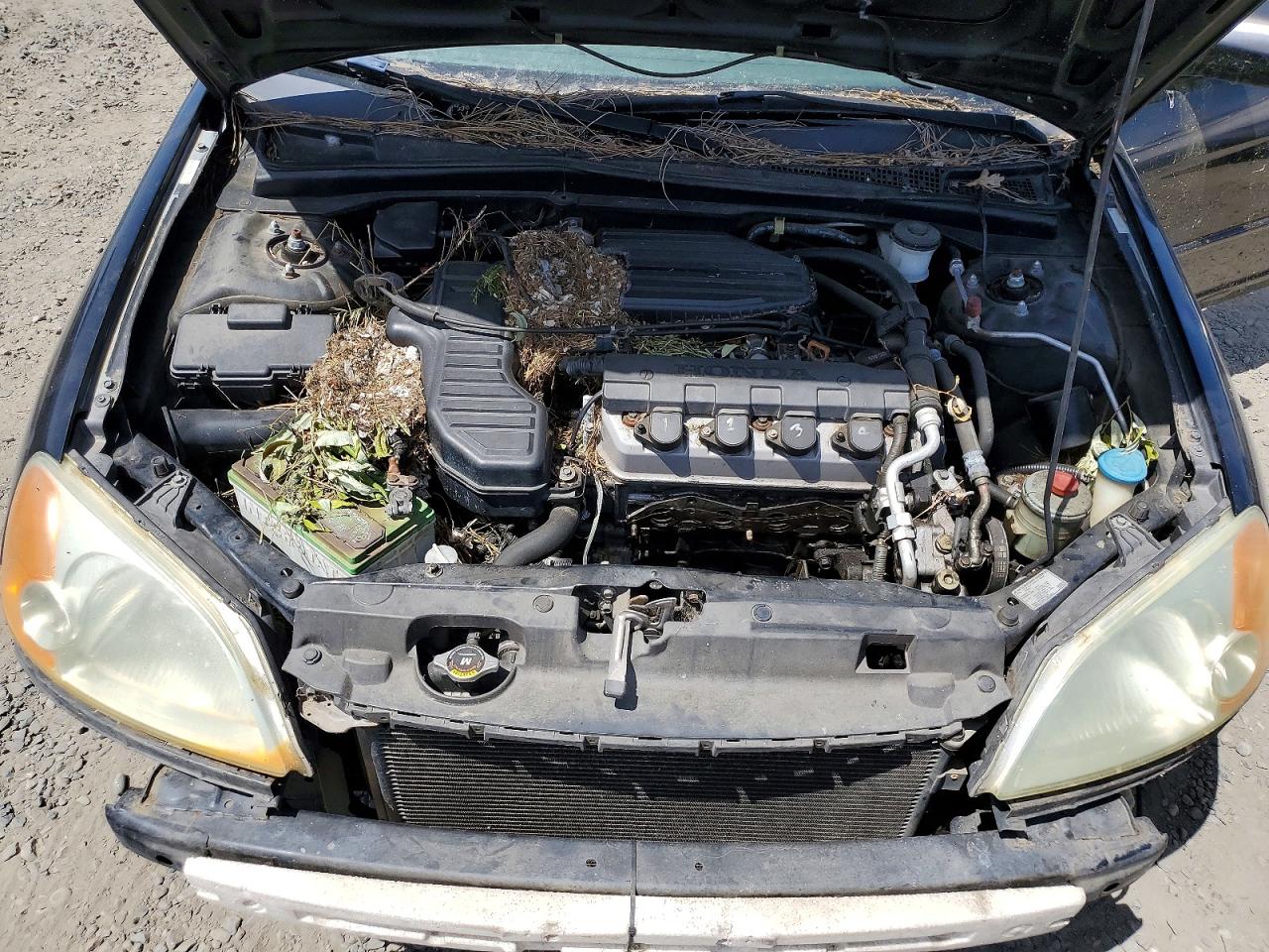 2002 Honda Civic Lx Black vin: 2HGES16572H604136