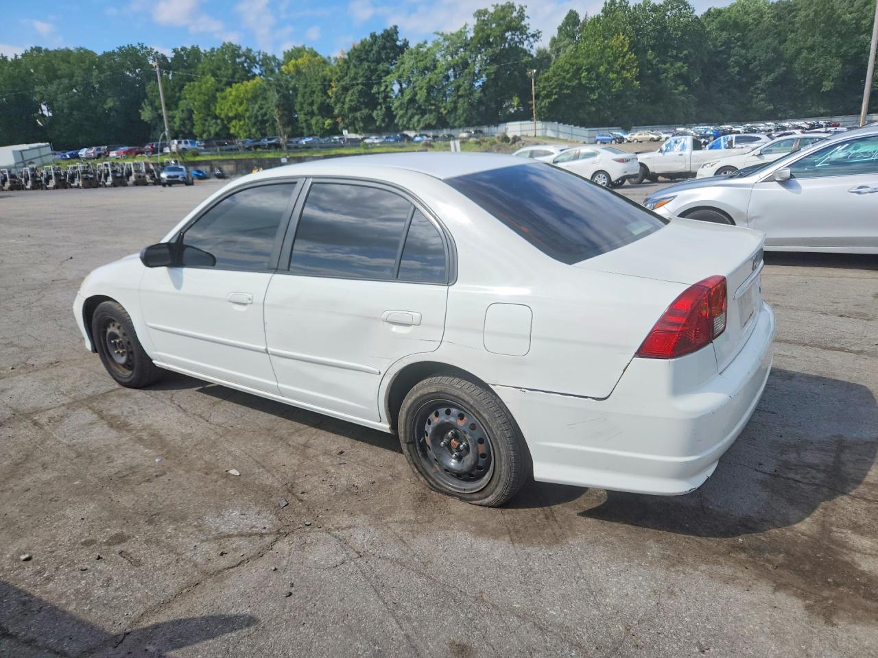2004 Honda Civic Lx Белый vin: 2HGES165X4H524932