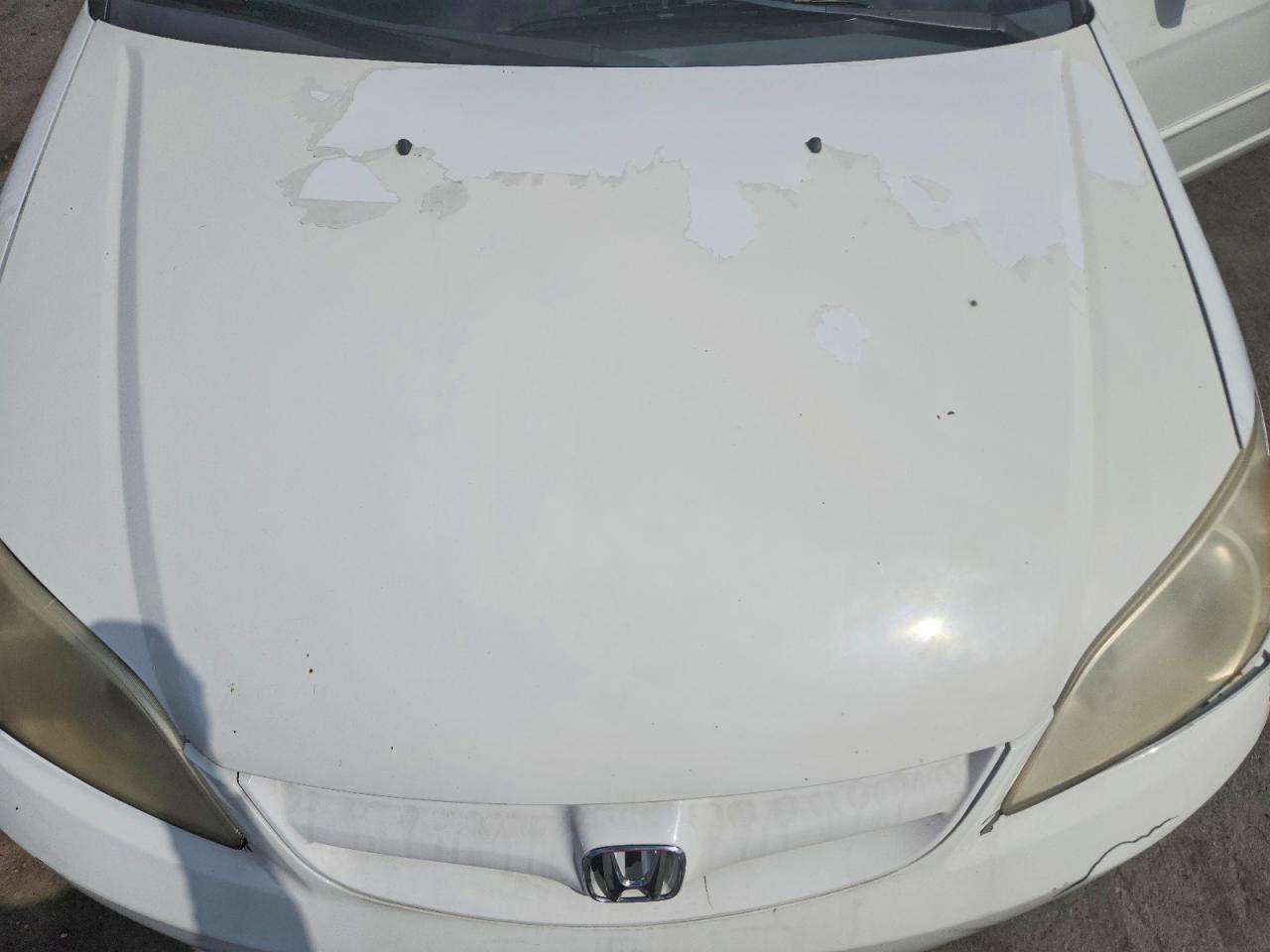 2004 Honda Civic Lx Белый vin: 2HGES165X4H524932