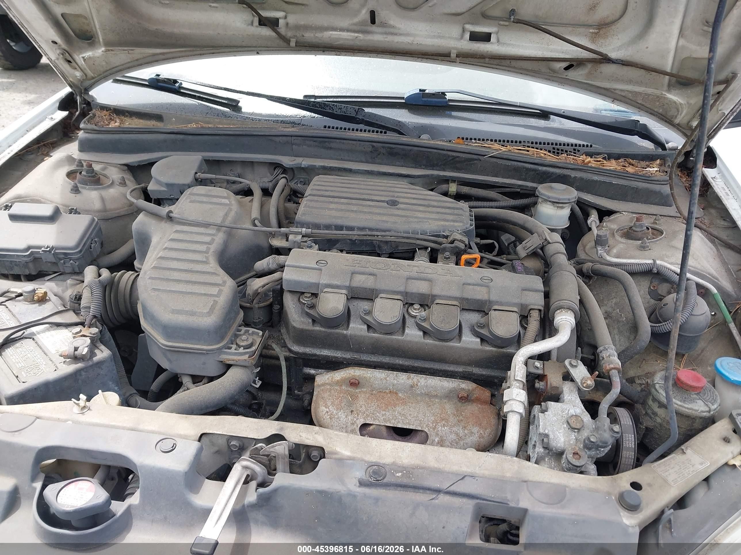 2004 Honda Civic Lx Белый vin: 2HGES165X4H636341