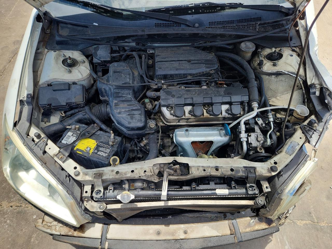 2005 Honda Civic Lx Белый vin: 2HGES165X5H506495