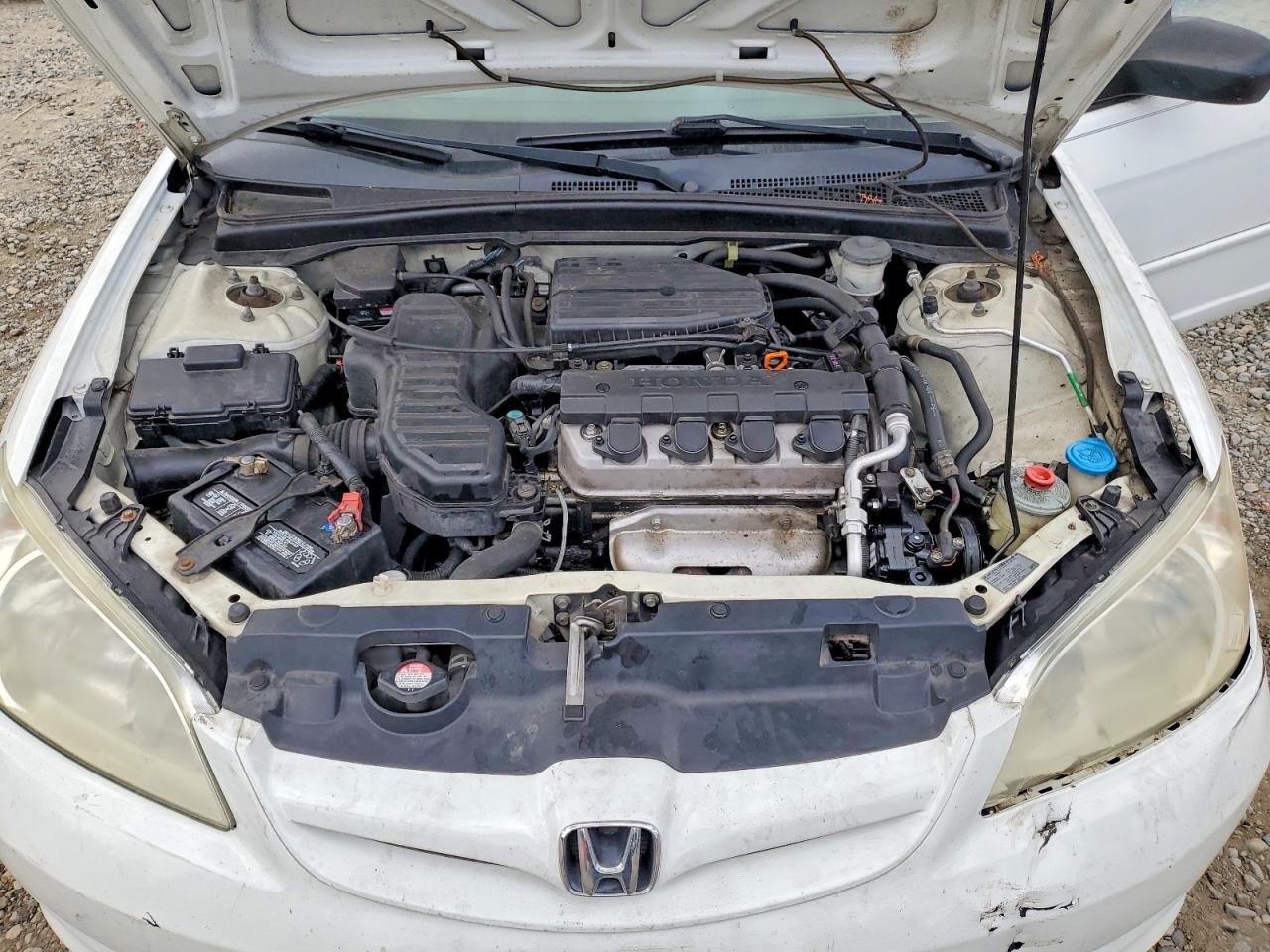 2005 Honda Civic Lx White vin: 2HGES165X5H520591