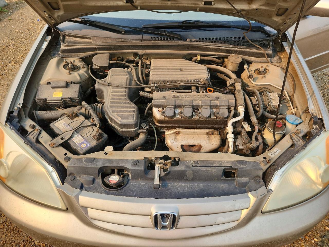 2003 Honda Civic Lx Золотой vin: 2HGES16693H901466