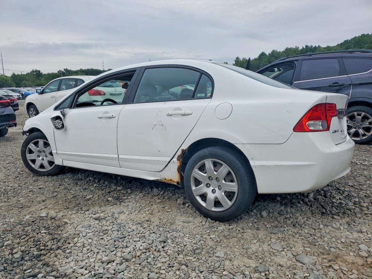 2009 Honda Civic Lx Белый vin: 2HGFA16529H368237