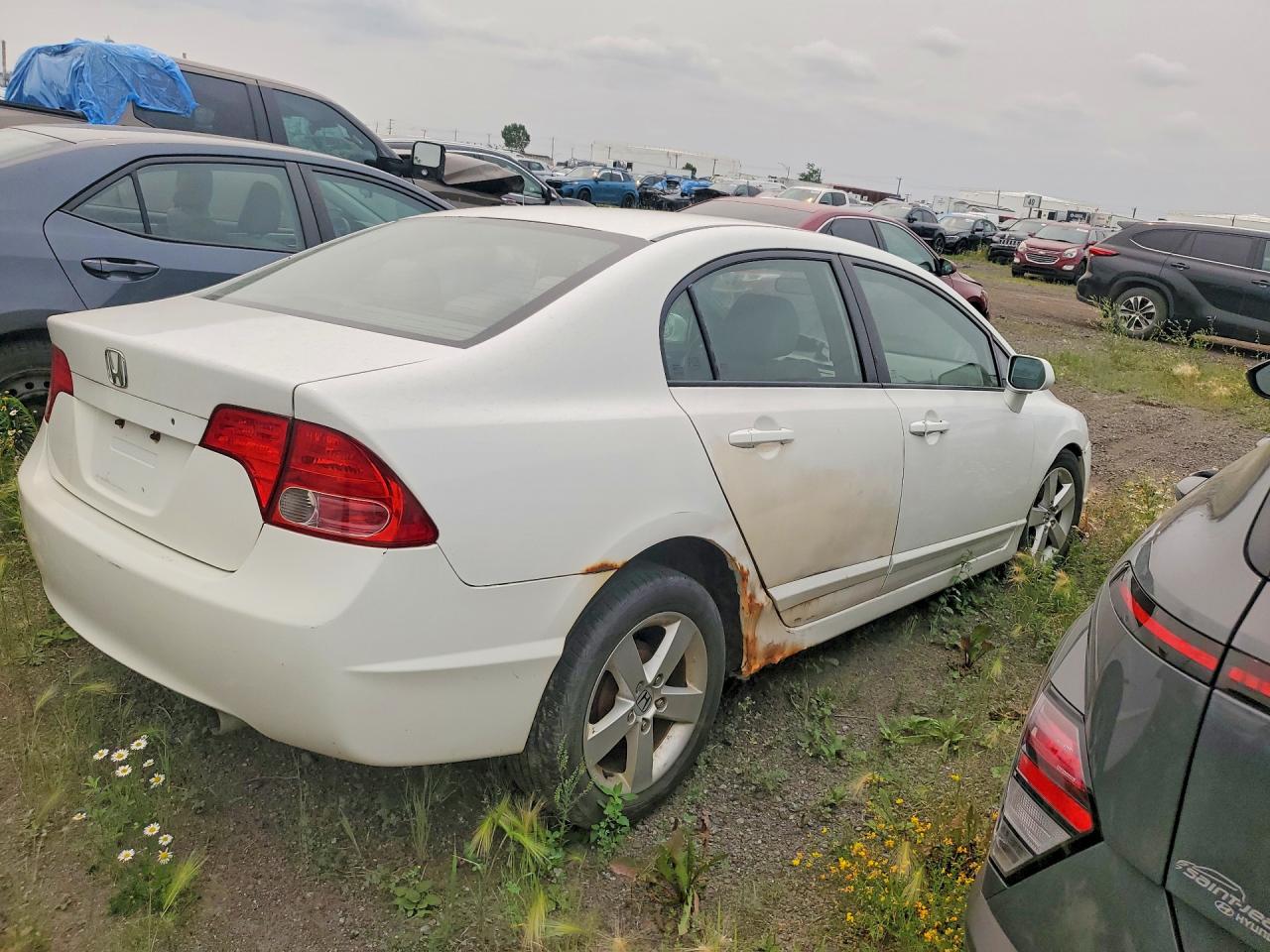 2007 Honda Civic Lx Белый vin: 2HGFA16537H037843