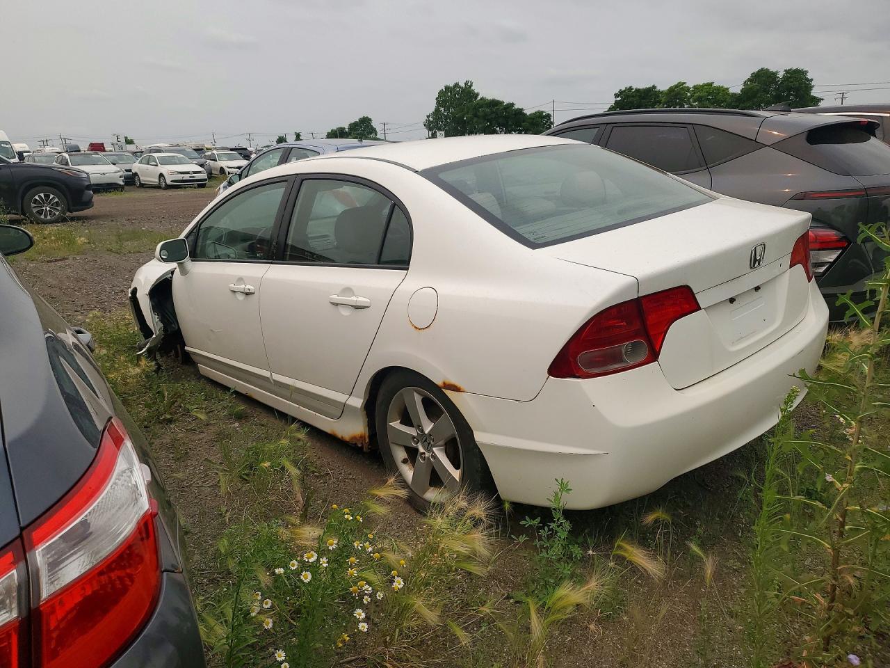 2007 Honda Civic Lx Белый vin: 2HGFA16537H037843