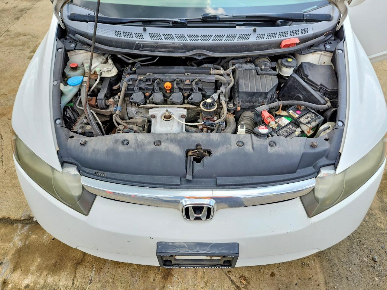 2008 Honda Civic Lx Белый vin: 2HGFA16568H319685