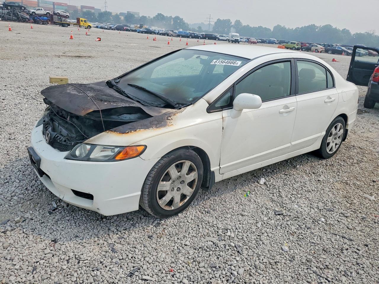 2010 Honda Civic Lx Белый vin: 2HGFA1F54AH546587