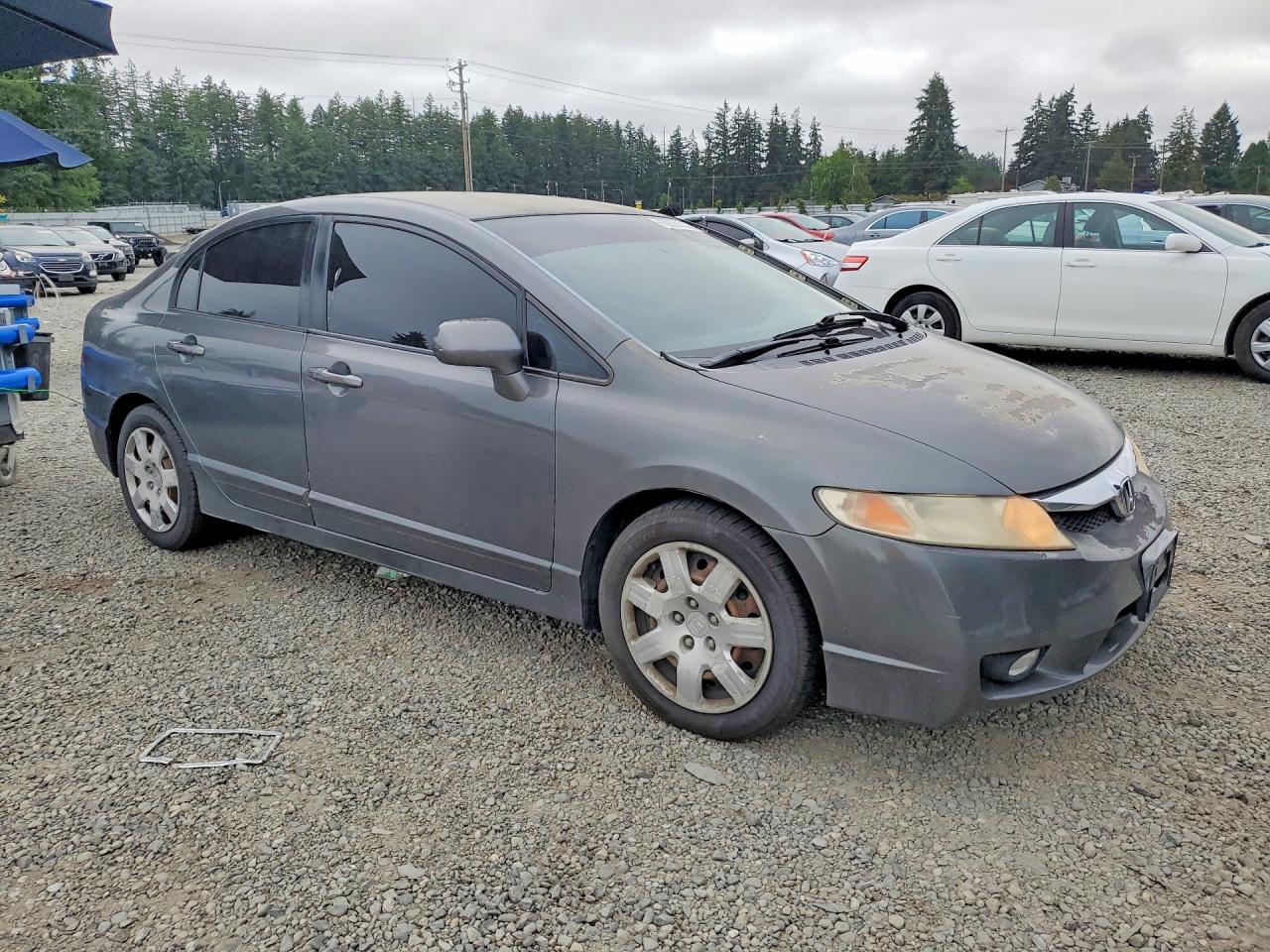 2011 Honda Civic Lx Серый vin: 2HGFA1F54BH539012
