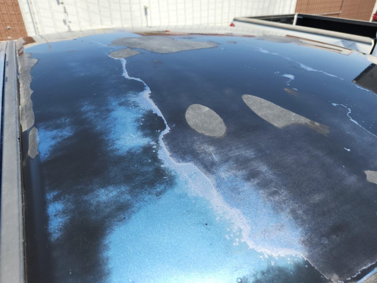 2010 Honda Civic Blue vin: 2HGFA1F5XAH560512 Damage: Roof, Oxidized, > 12 Inches