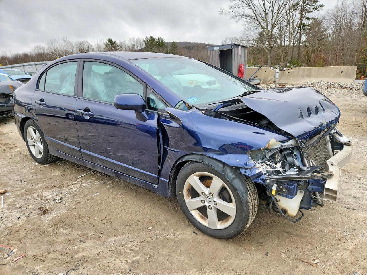 2010 Honda Civic Blue vin: 2HGFA1F69AH573437