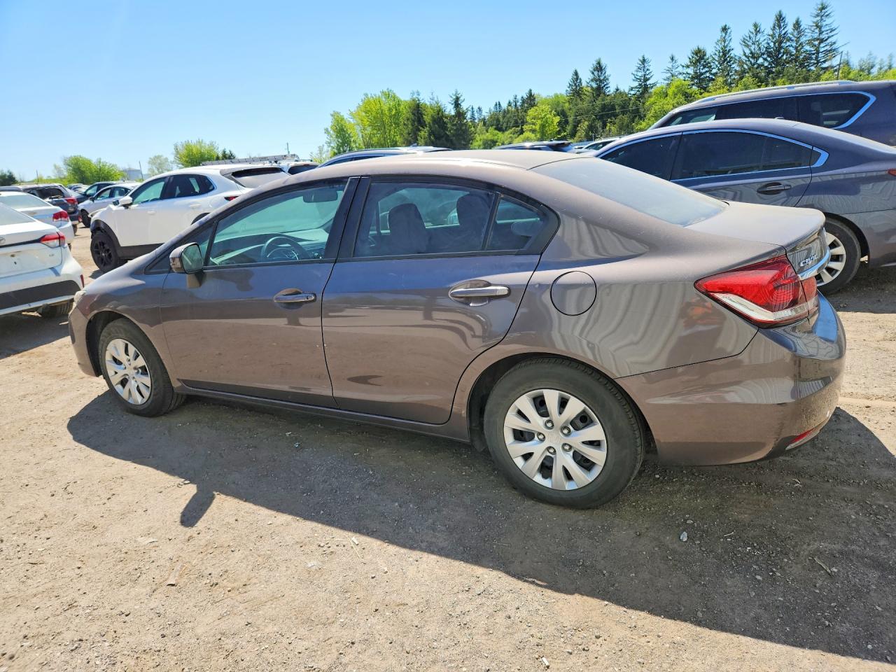 2015 Honda Civic Lx Серый vin: 2HGFB2E57FH531657