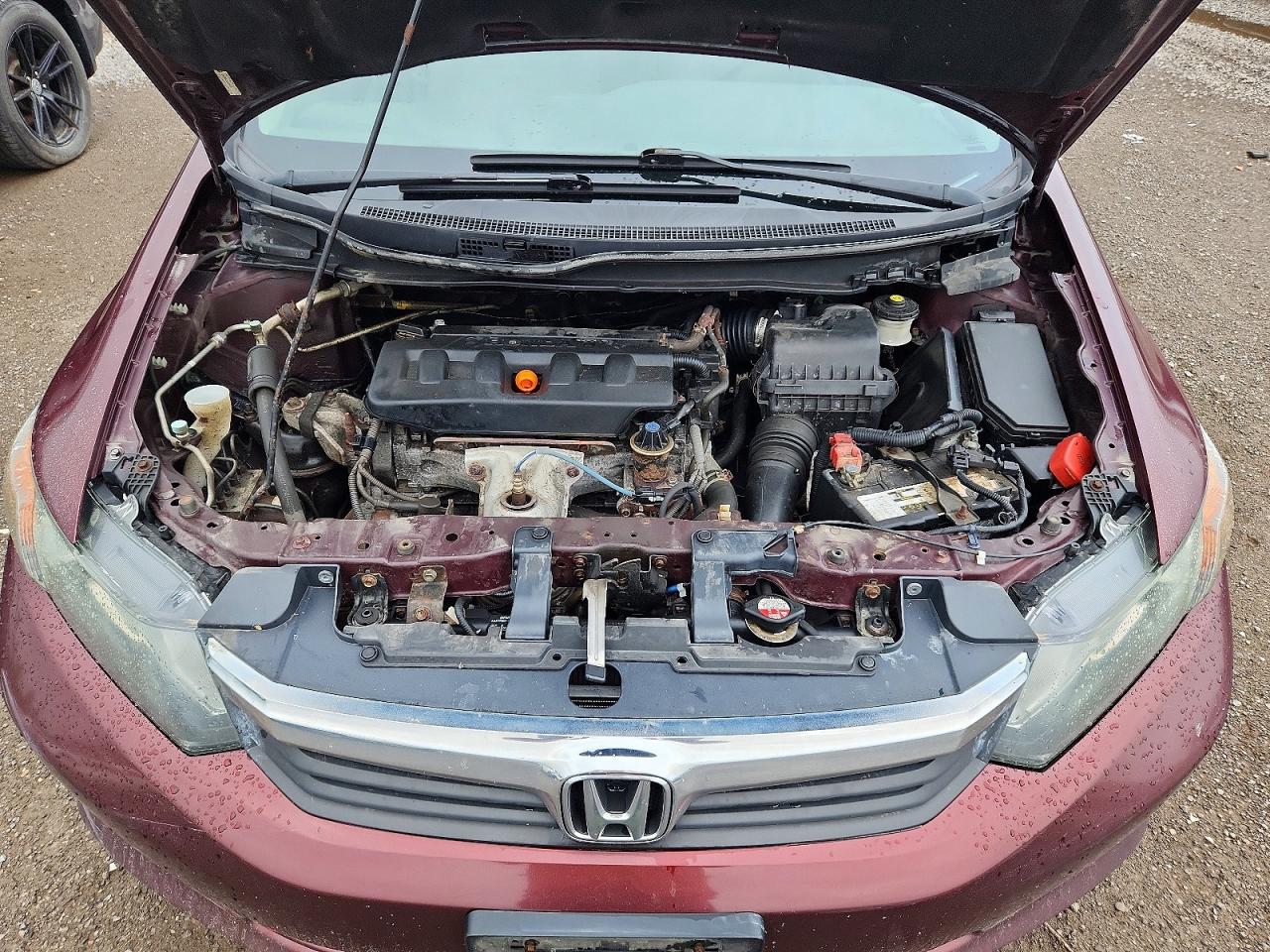 2012 Honda Civic Burgundy vin: 2HGFB2F42CH026255