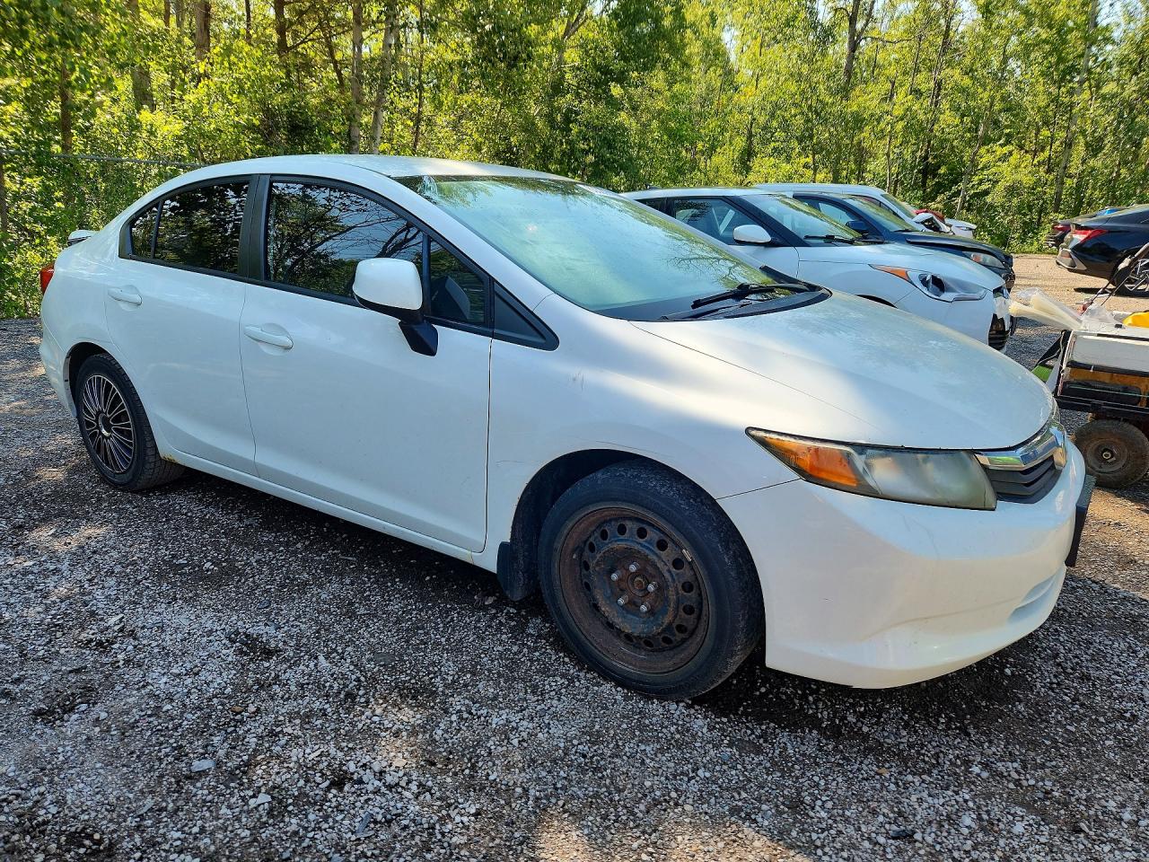 2012 Honda Civic Lx White vin: 2HGFB2F49CH010439