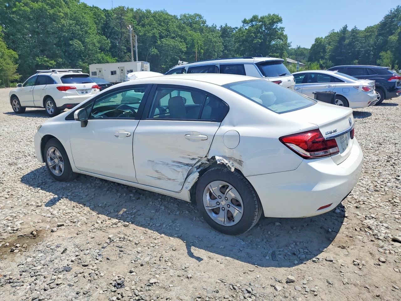 2015 Honda Civic Lx White vin: 2HGFB2F50FH509532