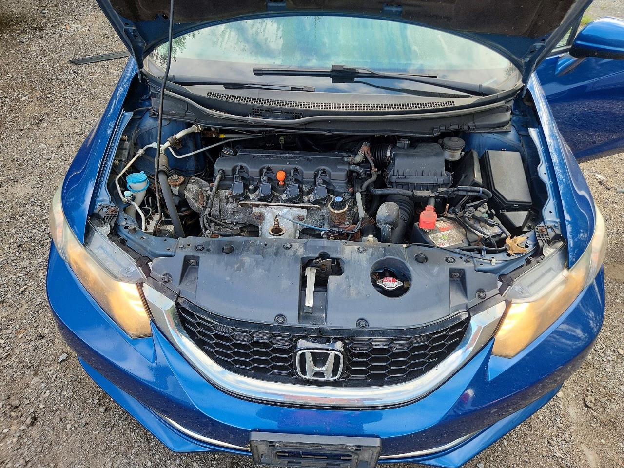 2015 Honda Civic Lx Blue vin: 2HGFB2F51FH008312