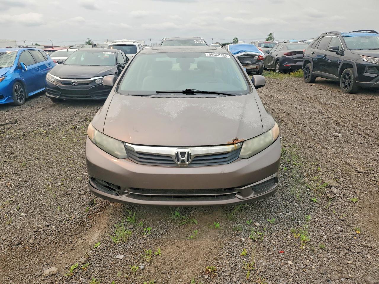 2012 Honda Civic Lx Коричневый vin: 2HGFB2F54CH006825