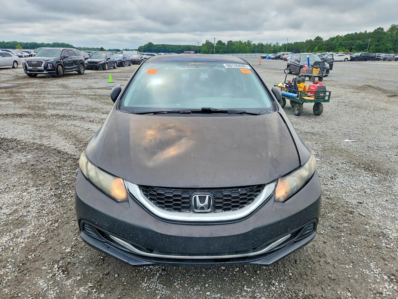 2013 Honda Civic Lx Black vin: 2HGFB2F55DH591870