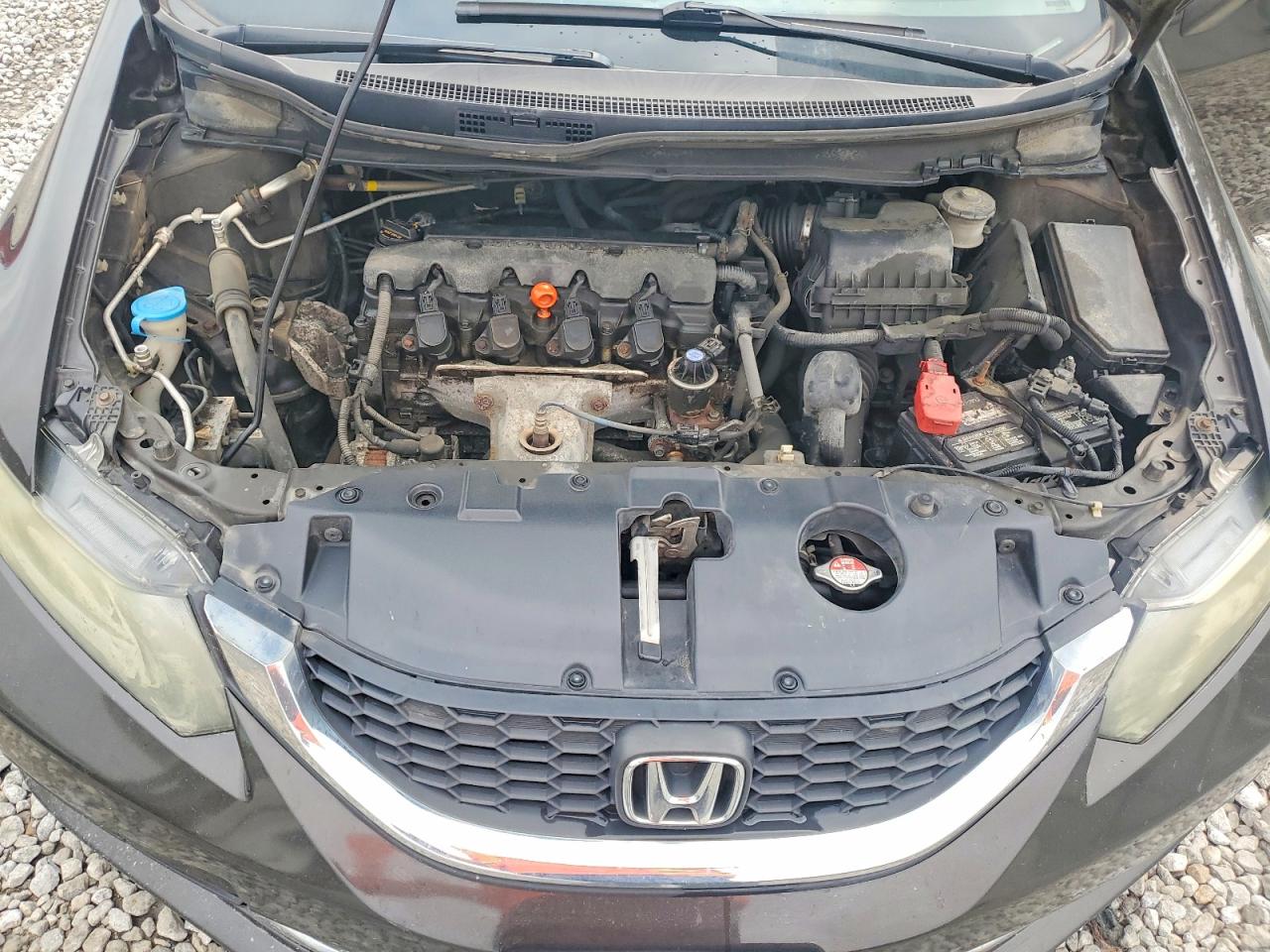 2014 Honda Civic Lx Brown vin: 2HGFB2F56EH511218
