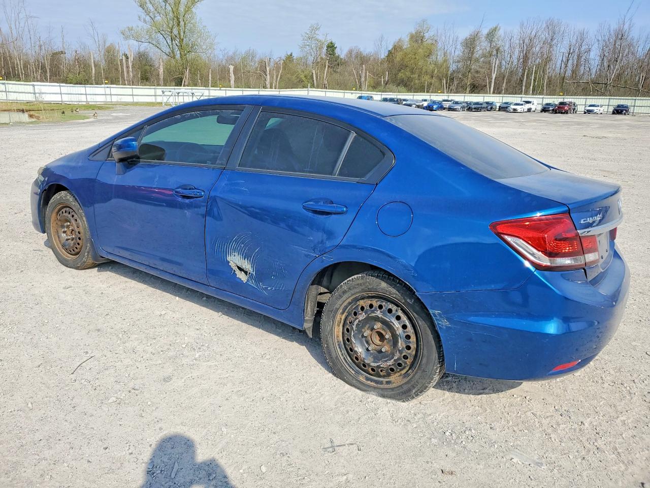 2015 Honda Civic Lx Blue vin: 2HGFB2F5XFH059307