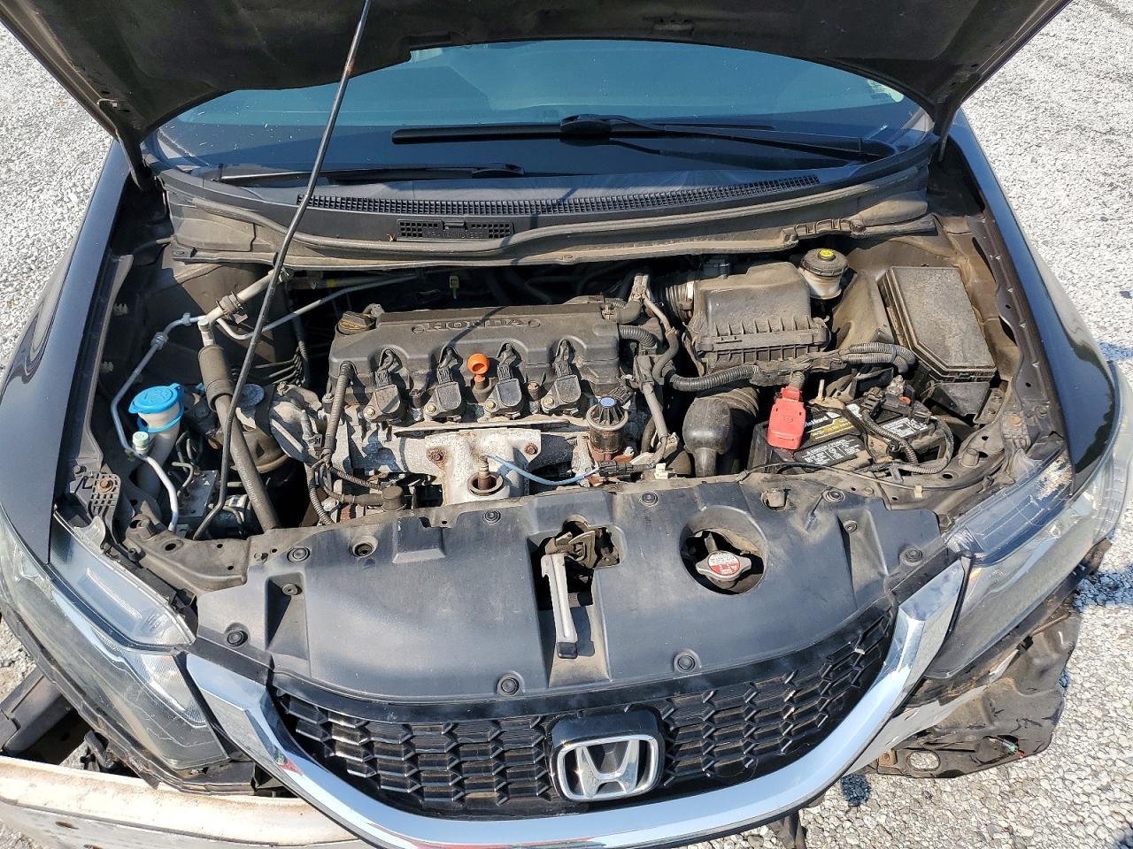 2014 Honda Civic Exl Tan vin: 2HGFB2F99EH515542