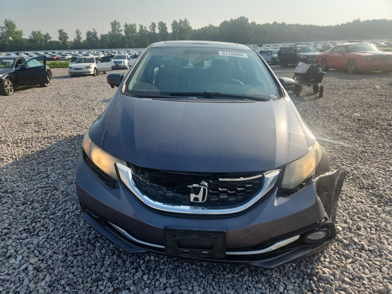 2015 Hond Civic Gray vin: 2HGFB2F9XFH503885