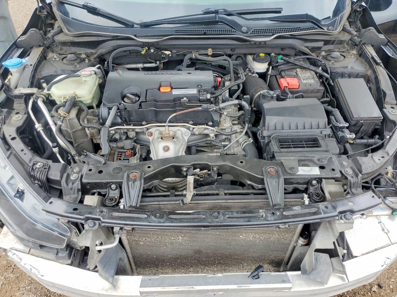 2019 Honda Civic Lx Черный vin: 2HGFC2F50KH044032