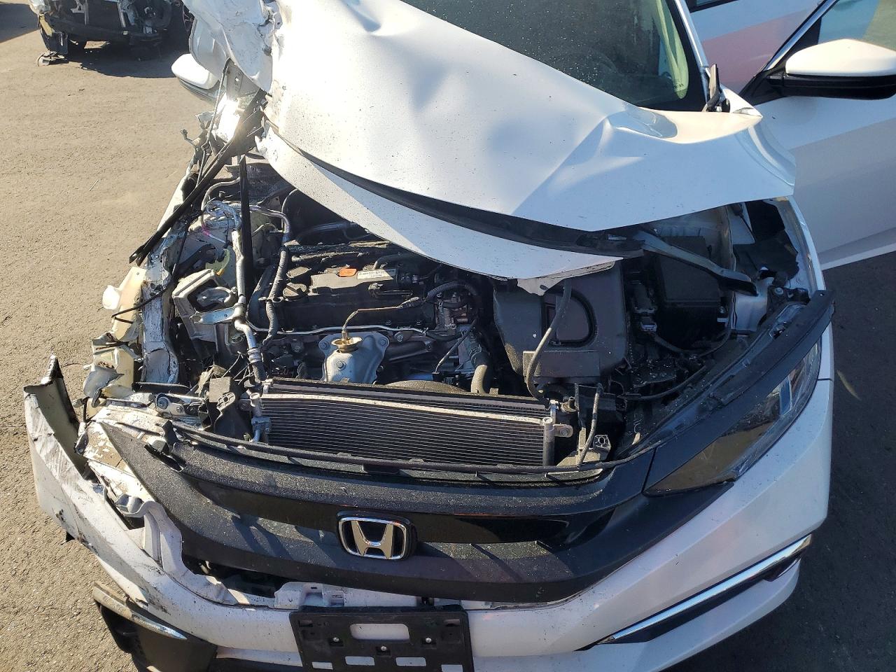 2019 Honda Civic Lx White vin: 2HGFC2F64KH597484