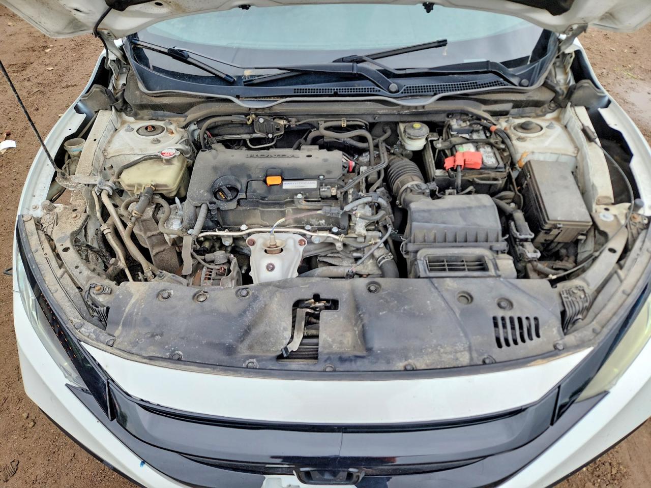 2020 Honda Civic Sport White vin: 2HGFC2F8XLH544517