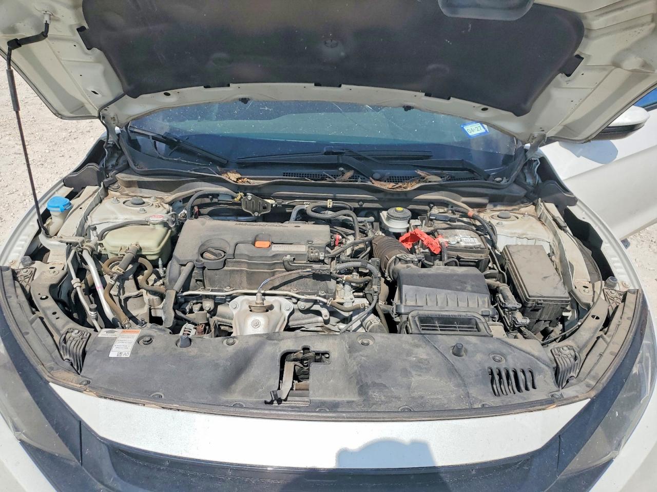 2019 Honda Civic Sport Белый vin: 2HGFC4B87KH304969
