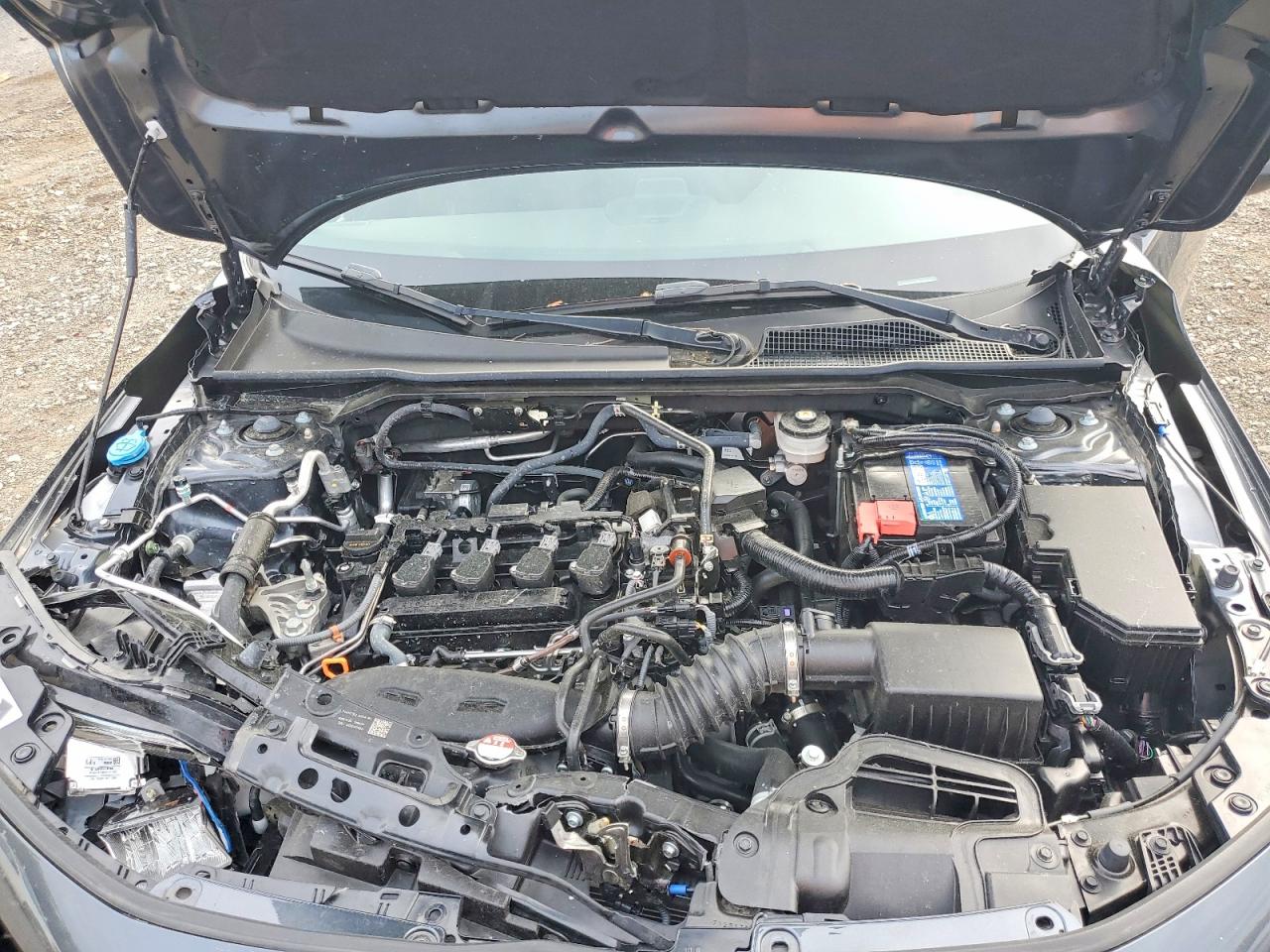 2024 Honda Civic Ex Gray vin: 2HGFE1F75RH318504