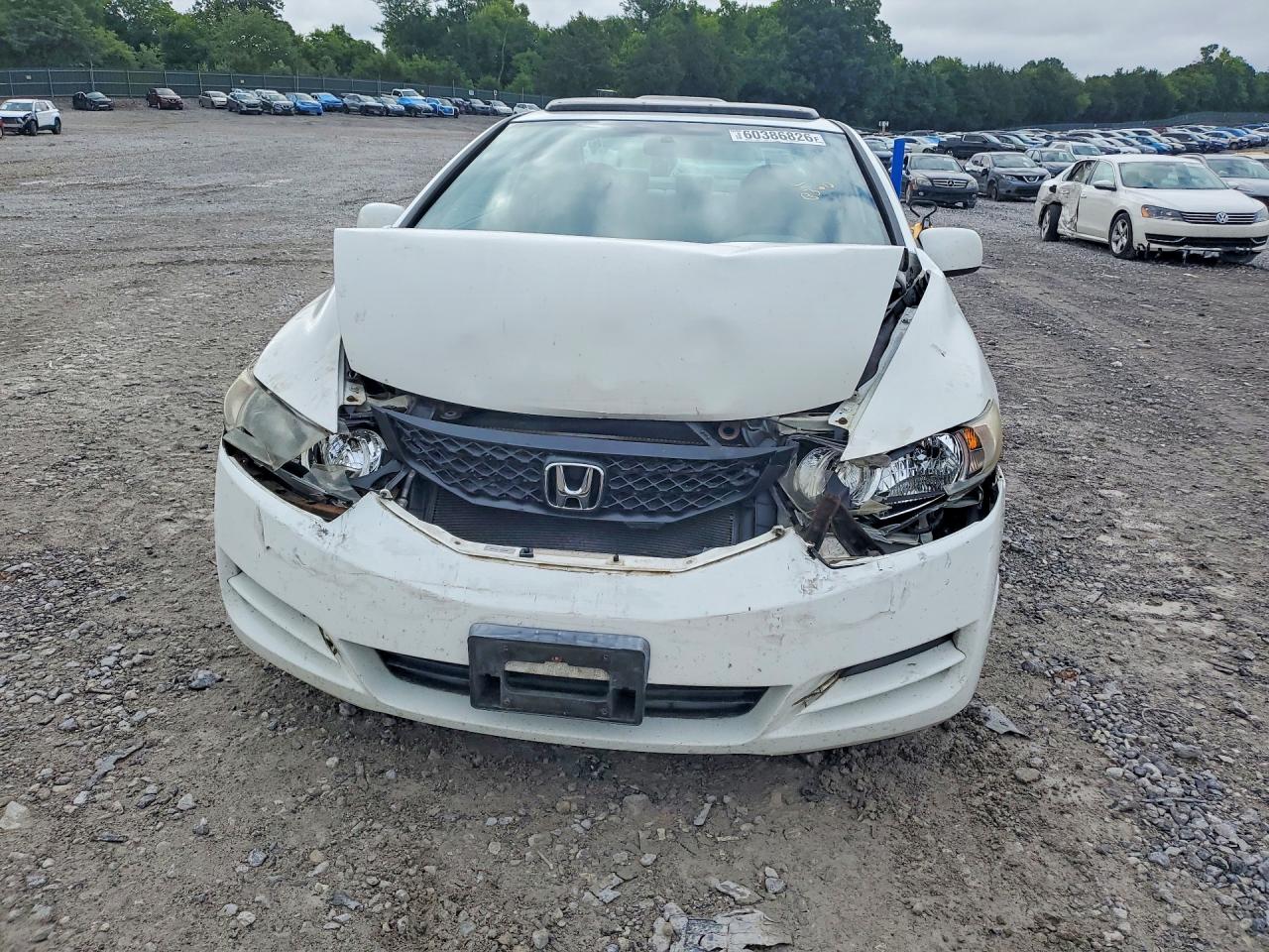 2009 Honda Civic Ex White vin: 2HGFG12839H503823