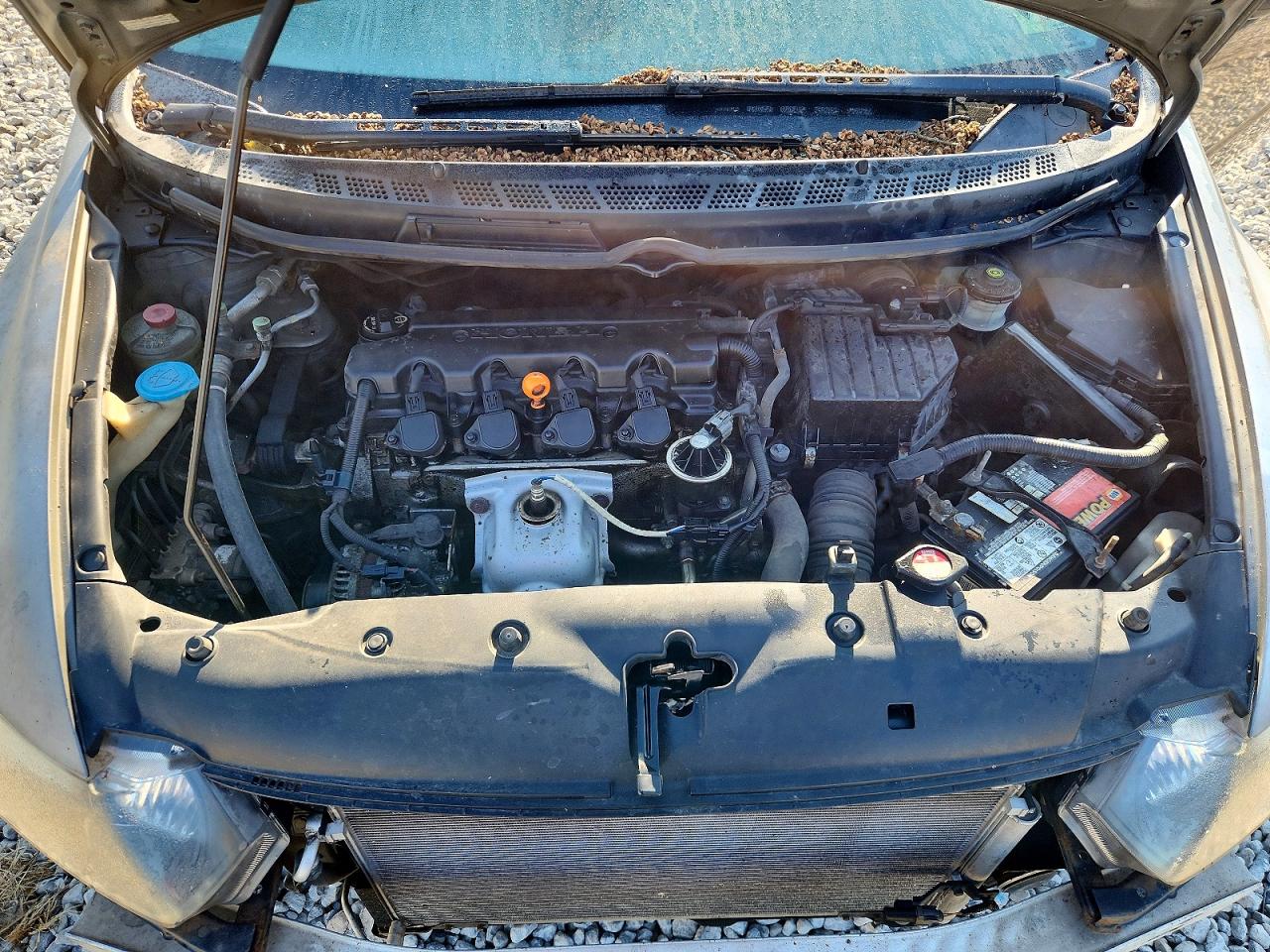 2008 Honda Civic Exl Silver vin: 2HGFG12848H524856
