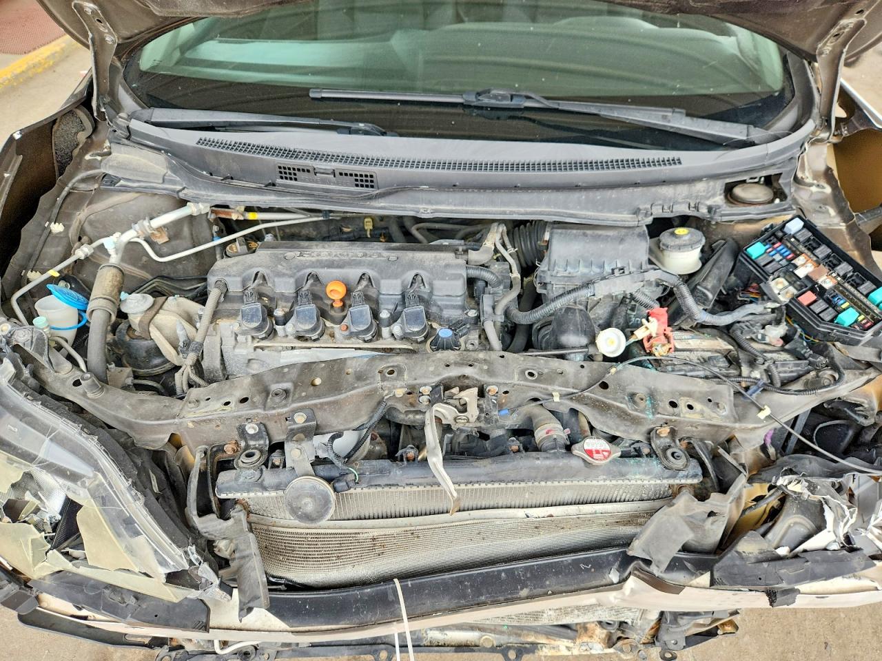 2014 Honda Civic Lx Brown vin: 2HGFG3B50EH508120