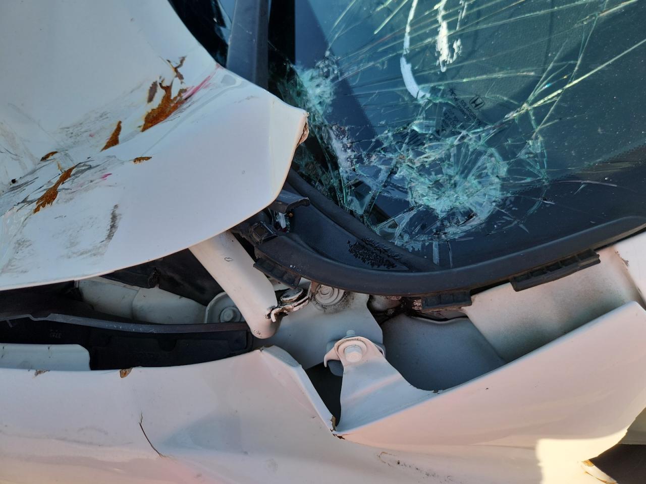 2014 Honda Civic Si White vin: 2HGFG4A53EH701191 Damage: Windshield, Broken, Replacement Required