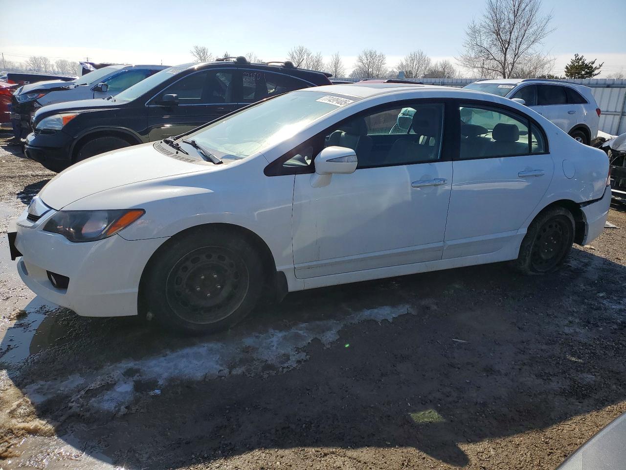 2009 Acura Csx Белый vin: 2HHFD56599H200394