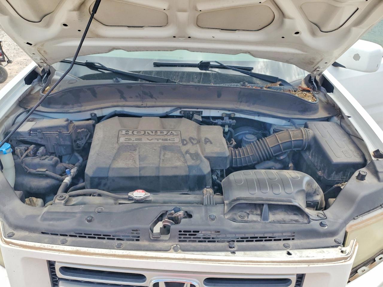 2006 Honda Ridgeline Rtl Белый vin: 2HJYK16546H509935