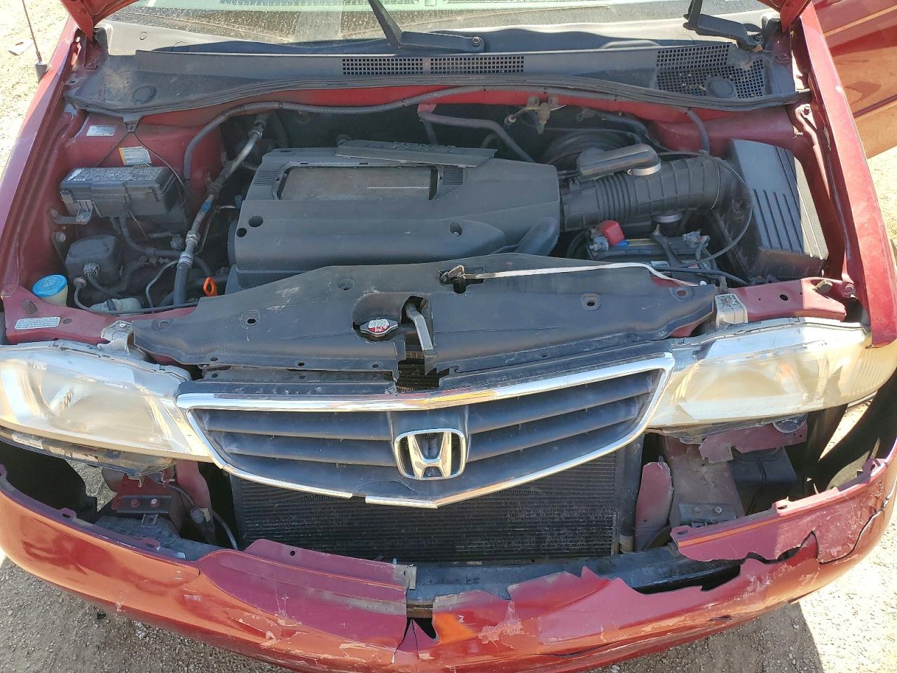2002 Honda Odyssey Exl Red vin: 2HKRL18002H565797