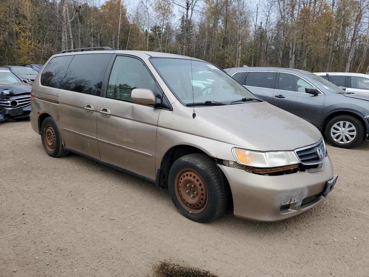 2003 Honda Odyssey Ex Beige vin: 2HKRL18613H013103