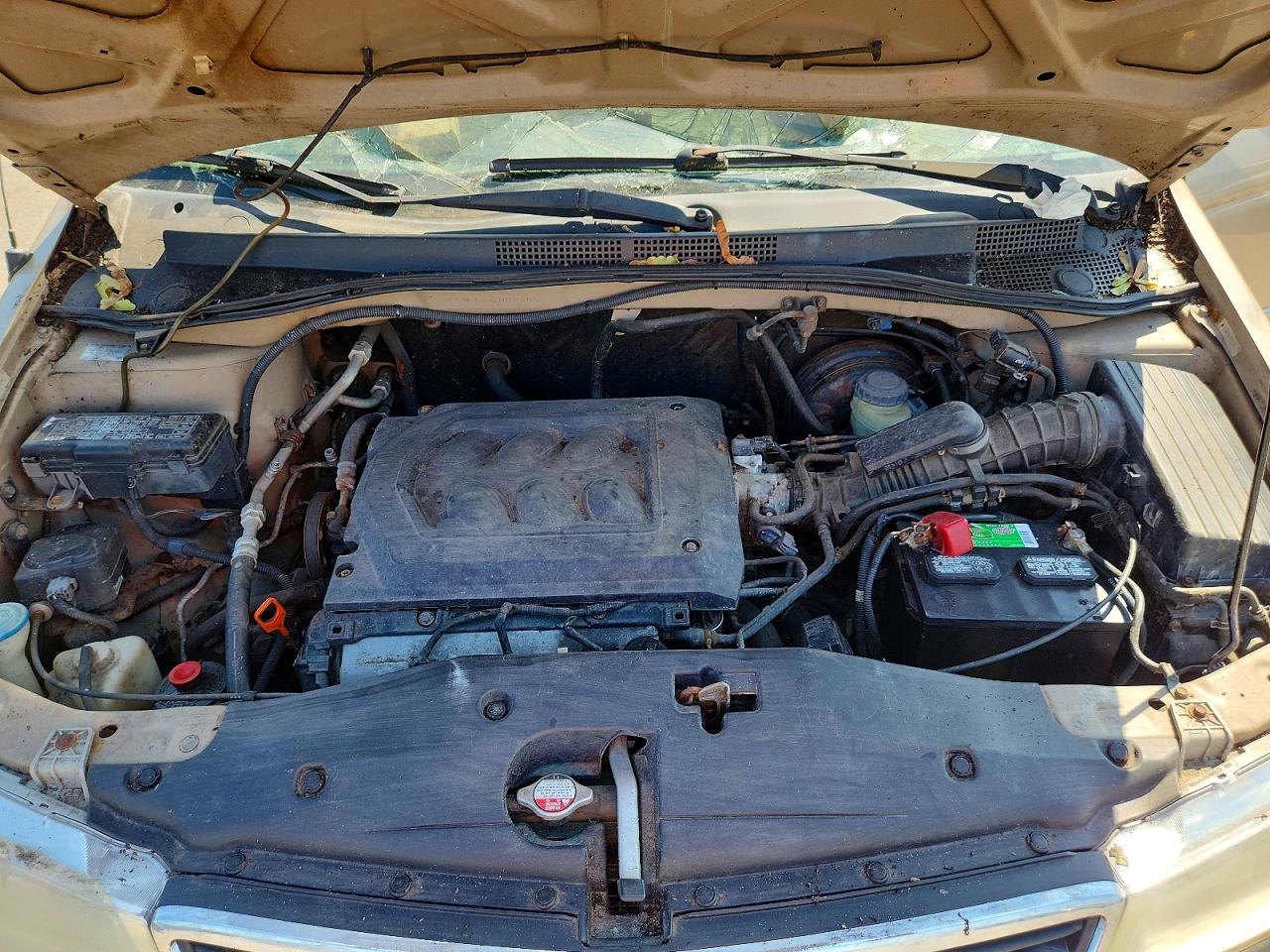 2001 Honda Odyssey Ex Золотой vin: 2HKRL18631H610413