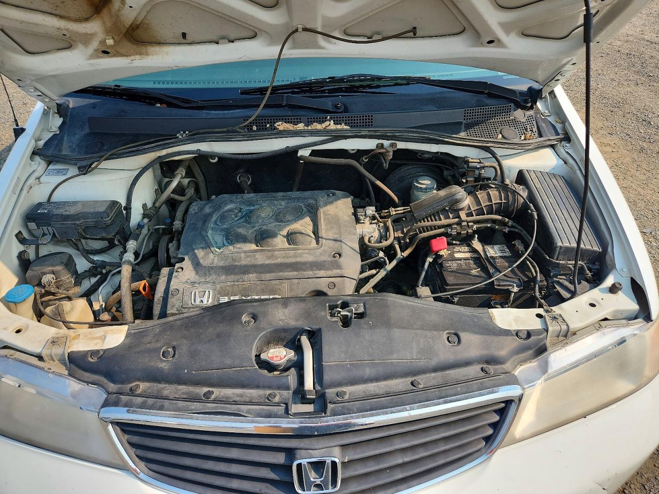 2000 Honda Odyssey Ex White vin: 2HKRL1868YH626536