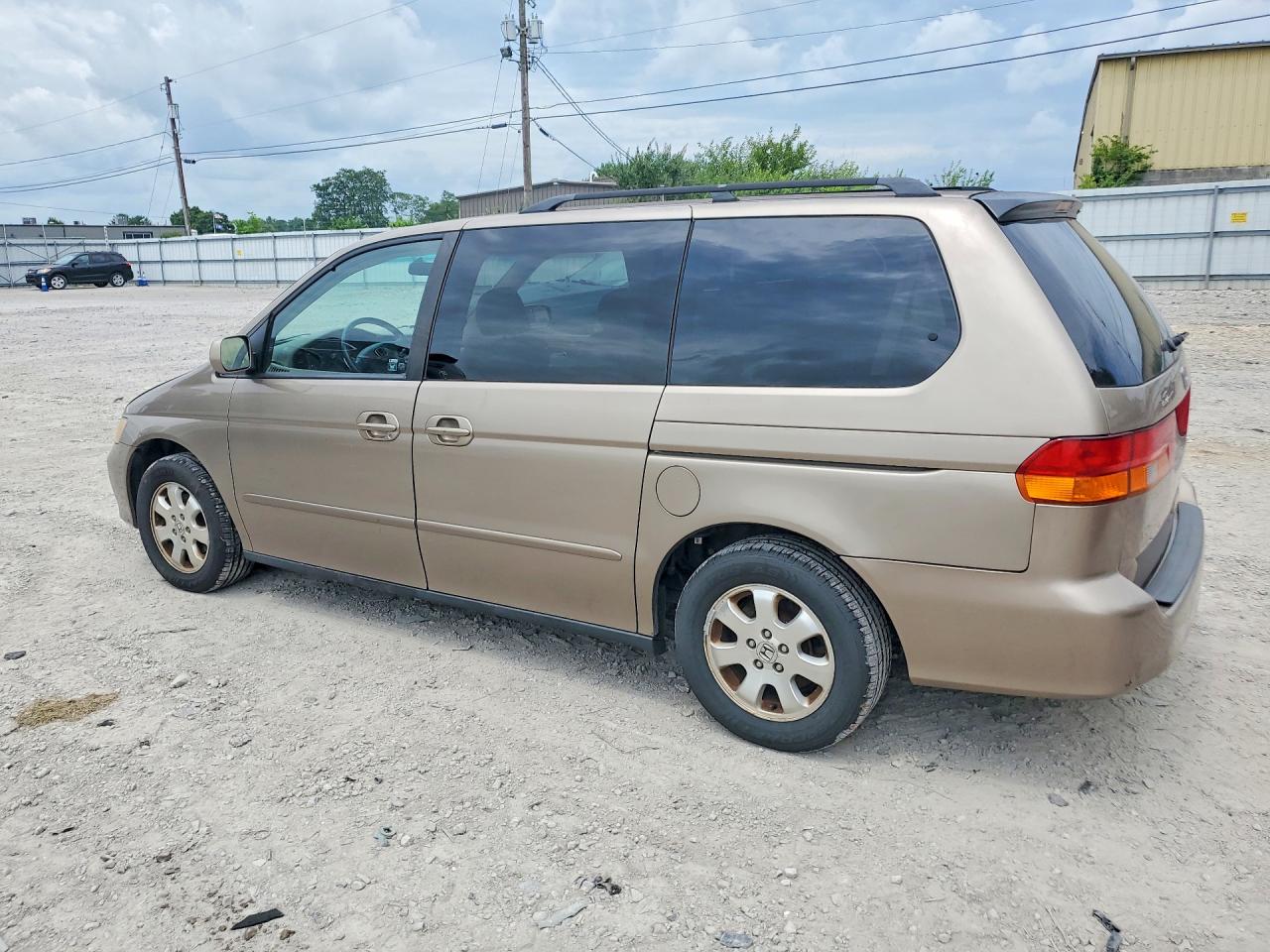 2003 Honda Odyssey Exl Beige vin: 2HKRL18933H505481