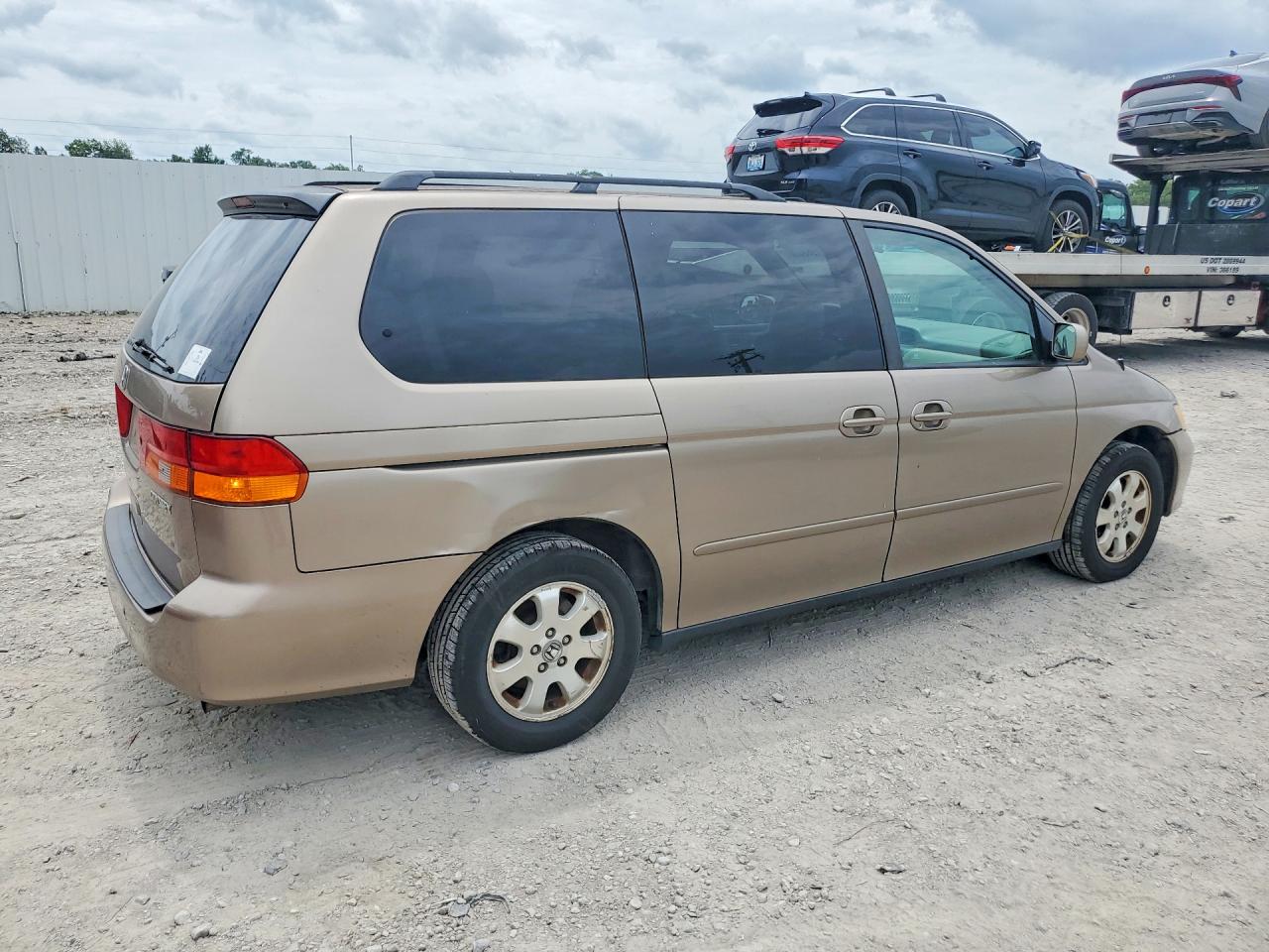 2003 Honda Odyssey Exl Beige vin: 2HKRL18933H505481
