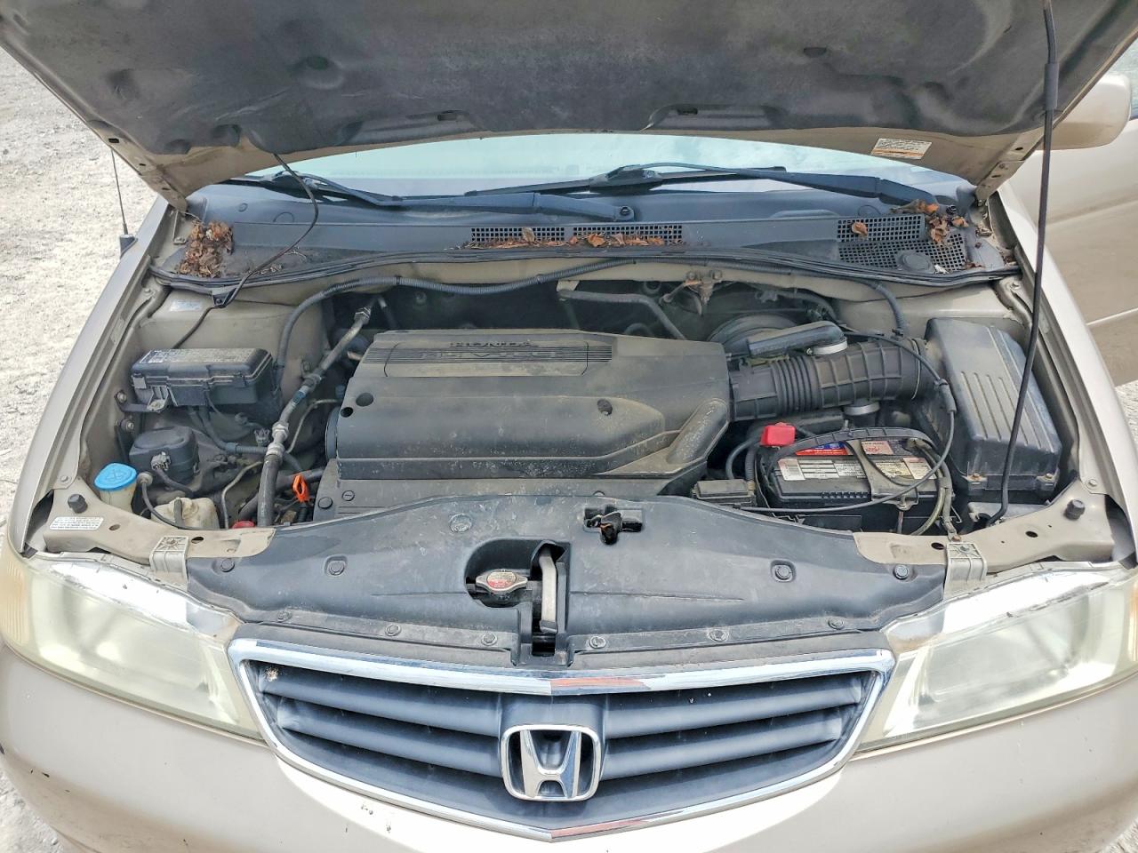 2003 Honda Odyssey Exl Beige vin: 2HKRL18933H505481