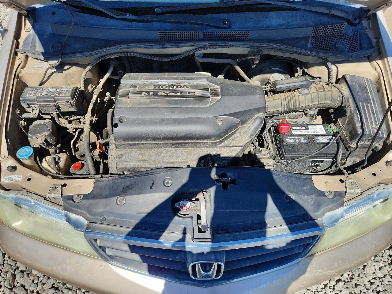 2002 Honda Odyssey Exl Tan vin: 2HKRL189X2H575283