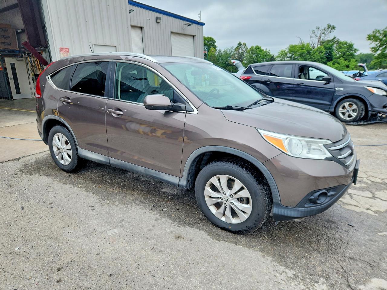 2014 Honda Cr-v Exl Brown vin: 2HKRM3H75EH566065